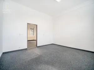 Prodej rodinného domu, Mladá Boleslav, Ptácká, 305 m2