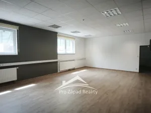 Pronájem obchodního prostoru, Plzeň, Poděbradova, 242 m2