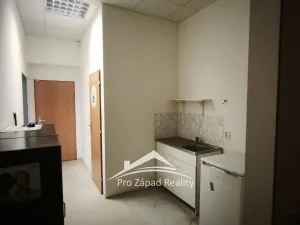 Pronájem obchodního prostoru, Plzeň, Poděbradova, 242 m2