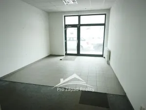 Pronájem obchodního prostoru, Plzeň, Poděbradova, 242 m2