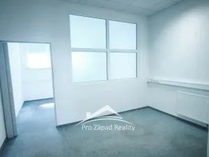 Pronájem obchodního prostoru, Plzeň, Poděbradova, 242 m2