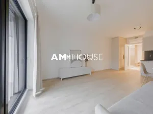 Pronájem bytu 1+kk, Praha - Žižkov, Šrámkové, 36 m2