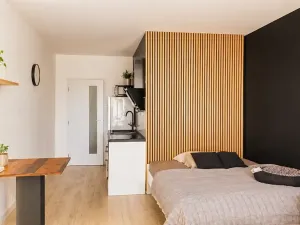 Pronájem bytu 1+kk, Letovice, Průchodní, 29 m2