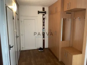 Pronájem bytu 3+1, Svojšín, 80 m2