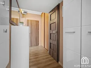 Prodej bytu 3+kk, Praha - Žižkov, Hartigova, 70 m2