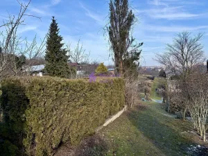 Prodej chaty, Olomouc - Slavonín, 28 m2