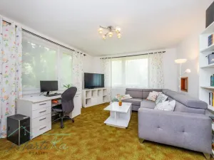Prodej rodinného domu, Dolany nad Vltavou, K Lesu, 261 m2