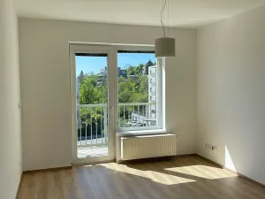 Pronájem bytu 2+kk, Praha - Michle, V dolině, 50 m2