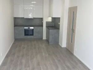 Pronájem bytu 2+kk, Ostrava - Hrabůvka, Hasičská, 41 m2