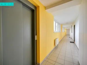 Pronájem bytu 1+kk, Olomouc - Nová Ulice, Na Tabulovém vrchu, 30 m2