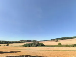 Prodej pole, Jankov - Nosákov, 11282 m2