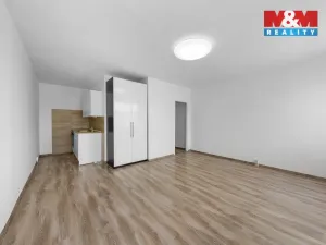Prodej bytu 1+kk, Ústí nad Labem - Krásné Březno, Dr. Horákové, 31 m2