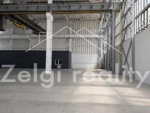 Prodej výrobních prostor, Veselí nad Moravou, 5700 m2