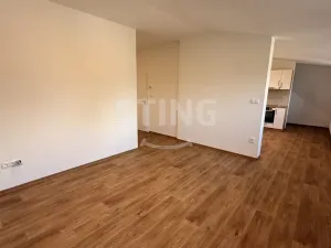 Pronájem bytu 2+kk, Návsí, 80 m2