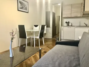 Pronájem bytu 1+kk, Praha - Josefov, Elišky Krásnohorské, 22 m2