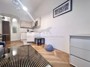 Pronájem bytu 1+kk, Praha - Josefov, Elišky Krásnohorské, 22 m2