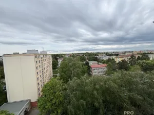 Prodej bytu 1+kk, Olomouc, Karafiátová, 22 m2