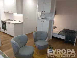 Pronájem bytu 1+kk, Pardubice - Zelené Předměstí, Palackého třída, 37 m2