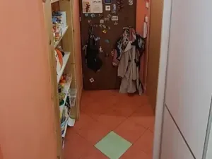 Prodej bytu 3+kk, Brno - Židenice, Meluzínova, 55 m2