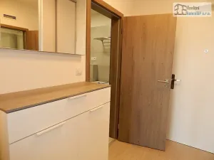 Pronájem bytu 1+kk, Brno, Střední, 38 m2