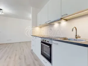 Pronájem bytu 1+kk, Hořovice, Pod Drahou, 39 m2
