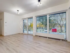 Pronájem bytu 1+kk, Hořovice, Pod Drahou, 39 m2