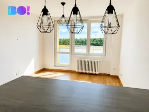 Pronájem bytu 1+kk, Ostrava, Výškovická, 27 m2