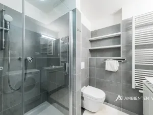 Pronájem bytu 1+kk, Brno, Reissigova, 36 m2