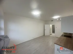 Pronájem bytu 1+kk, Brno - Trnitá, Křenová, 26 m2