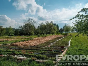 Prodej pozemku pro bydlení, Rataje nad Sázavou, 8300 m2