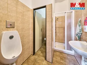 Prodej výrobních prostor, Dubenec, 453 m2