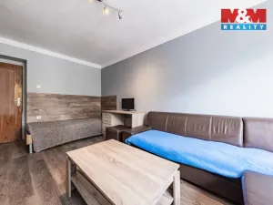 Prodej bytu 1+1, Písek - Budějovické Předměstí, Erbenova, 32 m2