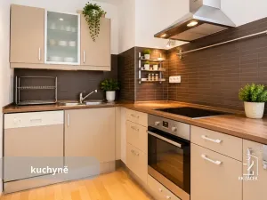Prodej bytu 2+kk, České Budějovice, Jar. Haška, 66 m2