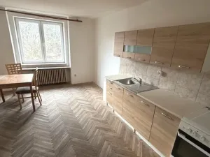 Pronájem bytu 1+kk, Dobřív, 53 m2