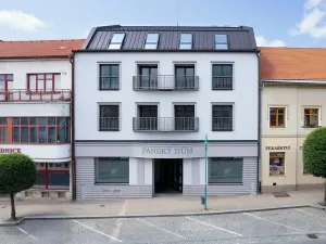 Pronájem bytu 2+kk, Bystřice nad Pernštejnem, Masarykovo náměstí, 64 m2