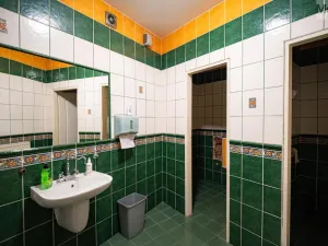 Prodej rodinného domu, Litvínov - Horní Litvínov, Studentská, 388 m2
