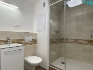 Pronájem bytu 1+1, Jihlava, Březinova, 33 m2