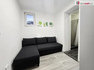 Pronájem bytu 1+kk, Lužná, Nová, 16 m2