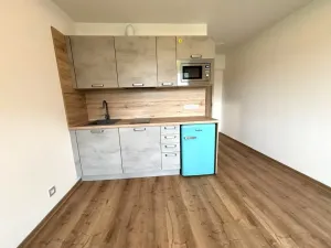 Pronájem bytu 1+kk, Dolní Bělá, 20 m2