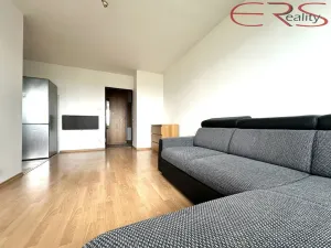 Prodej bytu 2+kk, Praha - Karlín, Nekvasilova, 40 m2