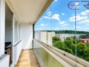 Prodej bytu 2+kk, Praha - Karlín, Nekvasilova, 40 m2