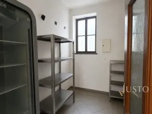 Pronájem restaurace, Písek - Budějovické Předměstí, Sedláčkova, 110 m2