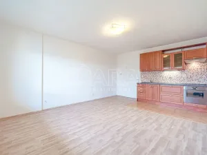 Pronájem bytu 1+kk, Holubice - Kozinec, Buková, 40 m2