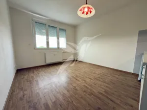 Pronájem bytu 1+kk, Plzeň, Boettingerova, 19 m2