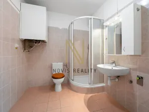 Pronájem bytu 1+1, Štěnovice, Čižická, 44 m2