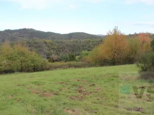 Prodej pozemku, Solenice, 41687 m2