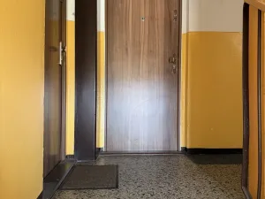 Pronájem bytu 1+1, Žatec, Mládežnická, 36 m2