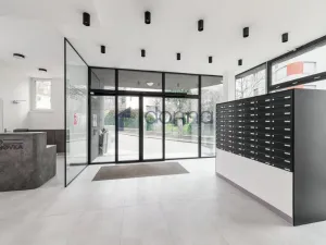 Pronájem bytu 1+kk, Praha, Perucká, 30 m2