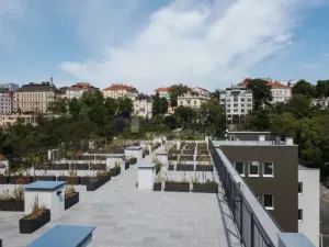 Pronájem bytu 1+kk, Praha, Perucká, 30 m2