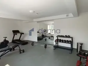 Pronájem bytu 1+kk, Praha, Perucká, 30 m2